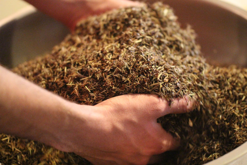 Seed Mix Photo